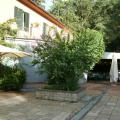 The Grounds 4