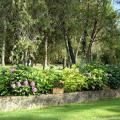 The Grounds 5