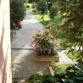 Our Country Hotel 2
