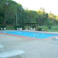 The Pool